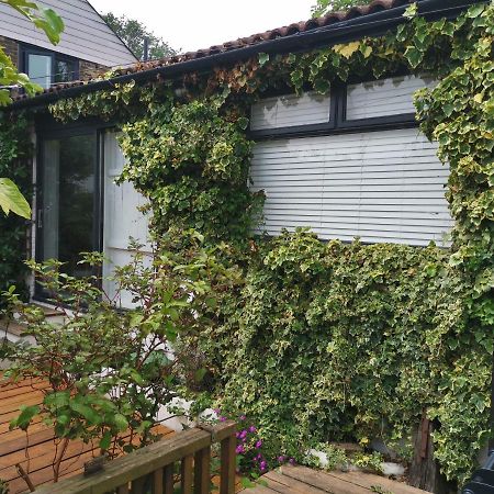Bungalow With Parking, Near Preston Park Μπράιτον Εξωτερικό φωτογραφία